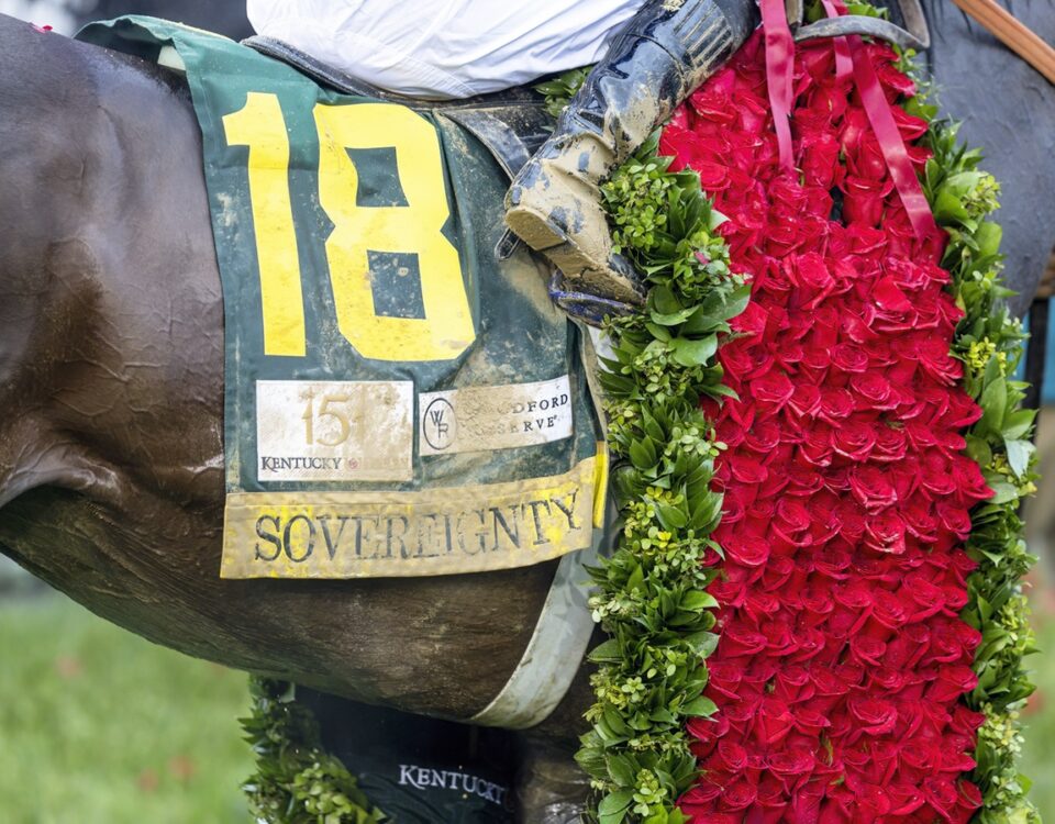 Sovereignty - saddle blanket with roses - Debbie Roma / Daily Racing Form