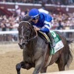 Sovereignty - Belmont Stakes 2025 - Debbie Roma - Daily Racing Form