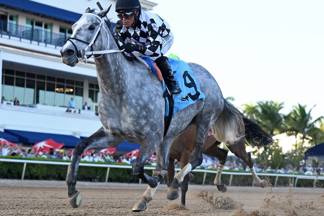Sterling Silver - Rampart Stakes - Ryan Thompson/Coglianese Photo