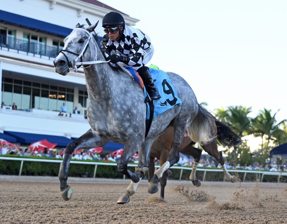 Sterling Silver - Rampart Stakes - Ryan Thompson/Coglianese Photo