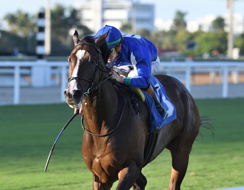 Summer Cause - H. Allen Jerkens - Ryan Thompson/Coglianese Photos