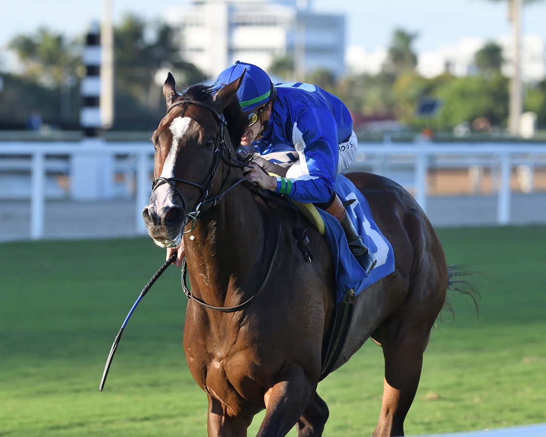 Summer Cause Con Gaffalione Resiste Y Vence En Las Dos Millas Del H summer-cause-con-gaffalione-resiste-y-vence-en-las-dos-millas-del-h
