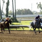 Los Alamitos - Thoroughbreds action - BENOIT PHOTO