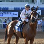 Tappan Street - Irad Ortiz Jr. - Ryan Thompson/Coglianese Photo