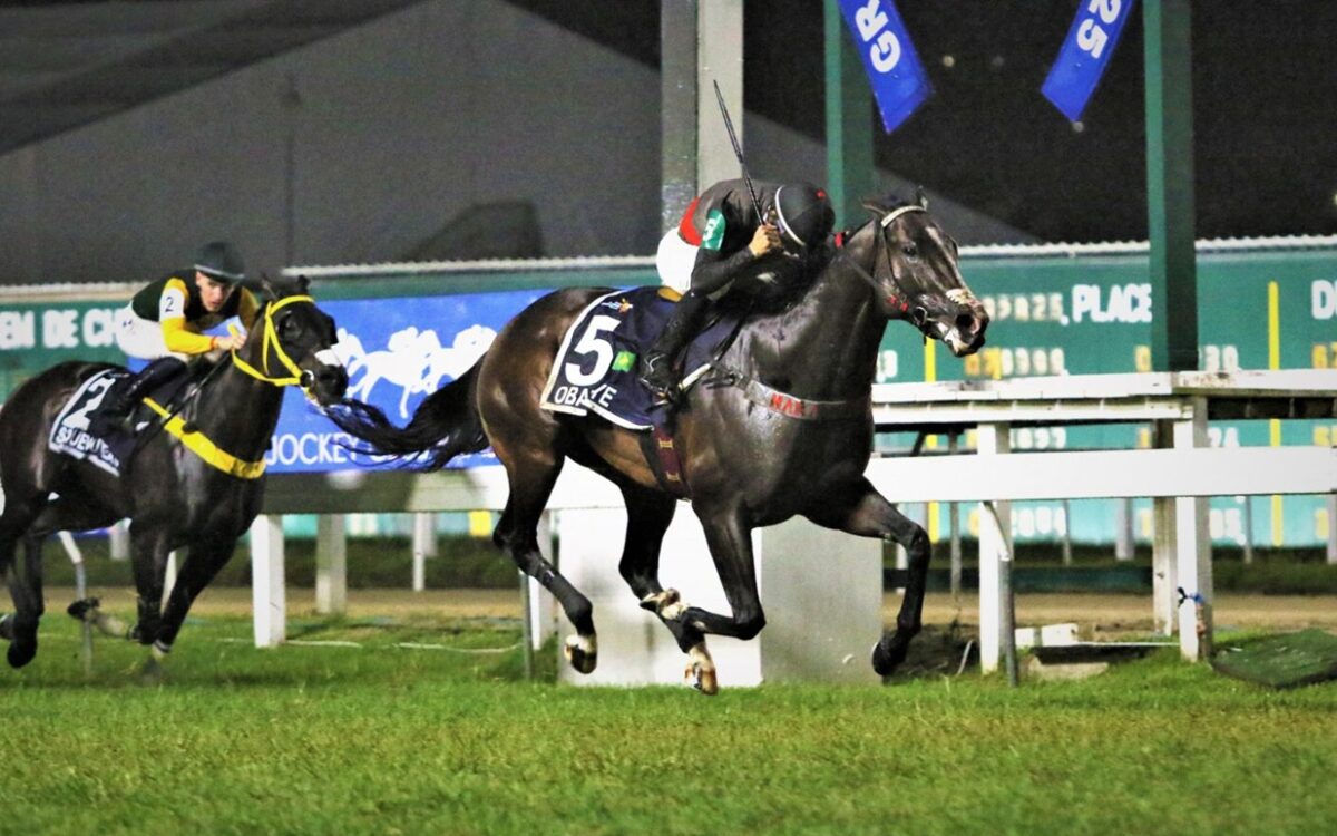 Obataye - Foto crédito: Prensa – Hipódromo San Isidro