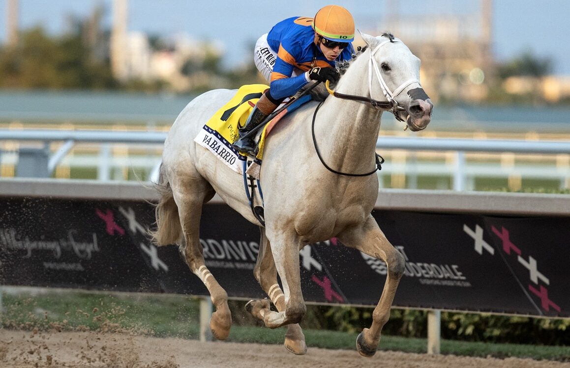 White Abarrio - Pegasus World Cup Invitational - Barbara D. Livingston - Daily Racing Form