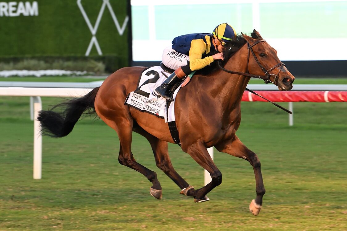 Wolfie's Dynaghost - Ft. Lauderdale Stakes G3 - Lauren King/Coglianese Photo