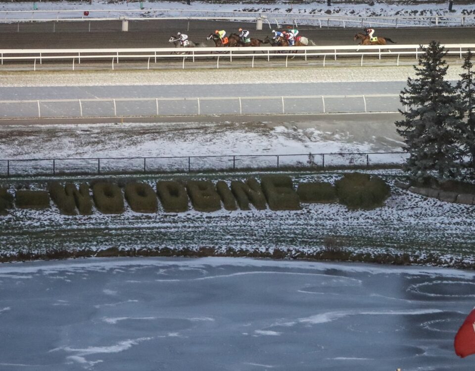 Woodbine Scenic - Julie Wright - Daily Racing Form