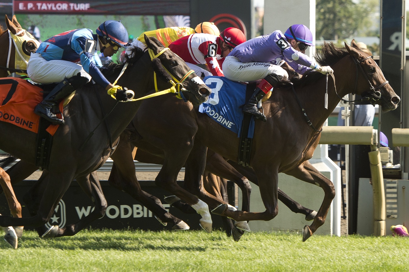 Katie Taylor - Primera Hora, image size:1350x900