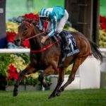 Romantic Warrior - Hong Cup Cup G1 - Credit Hong Kong Jockey Club