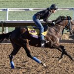 Baeza - Debbie Roma - Daily Racing Form