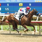 Buetane - Benoit Photo CA