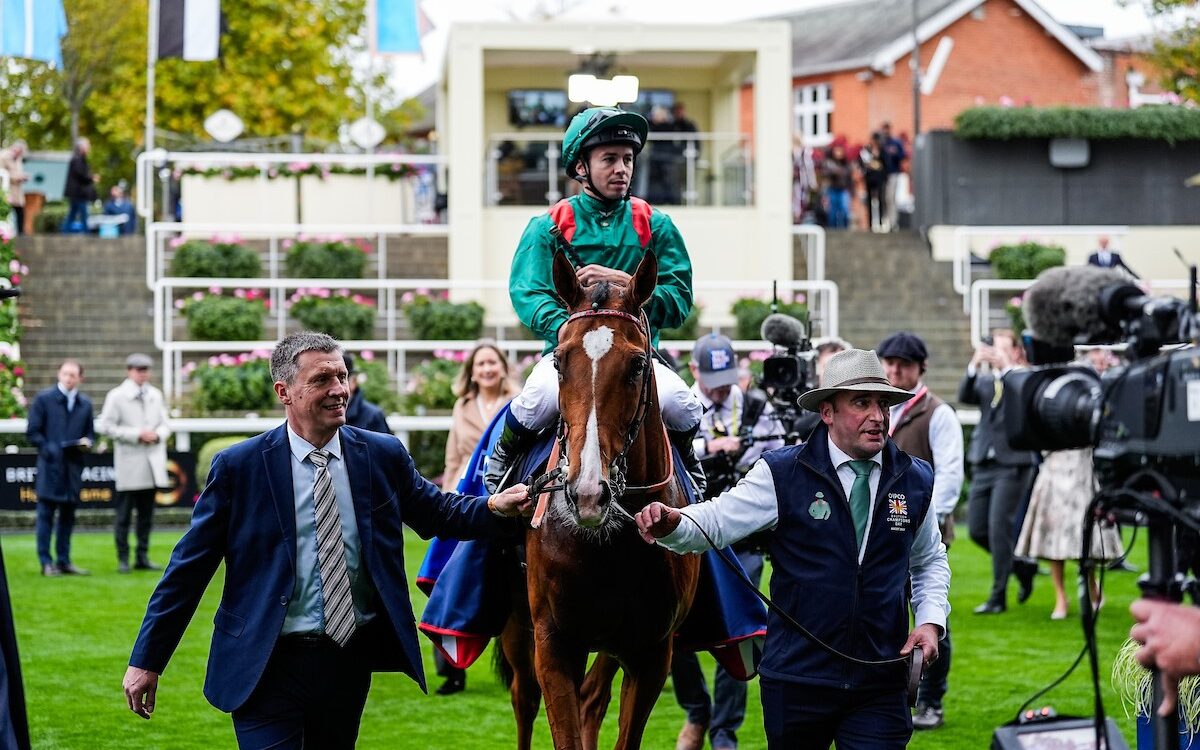 Calandagan - credito - Megan Coggin