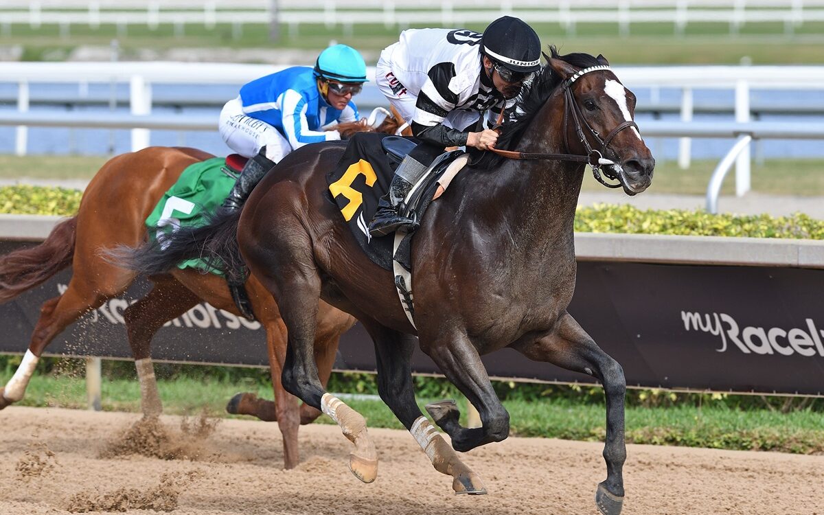 Chief Wallabee - Ryan Thompson - Coglianese Photo