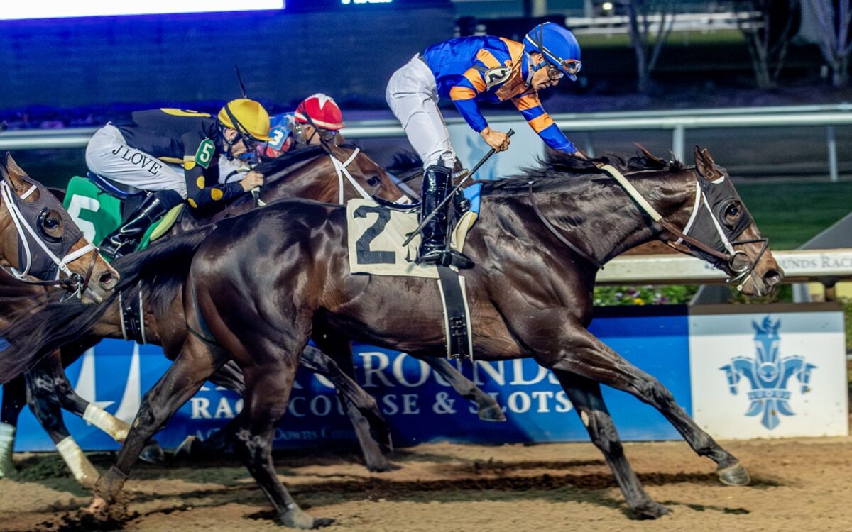 Chip Honcho - Hodges Photography - Fair Grounds