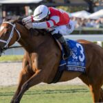 Destino d’Oro - PWC Filly & Mare Turf Inv. G2 - Barbara D. Livingston - Daily Racing Form