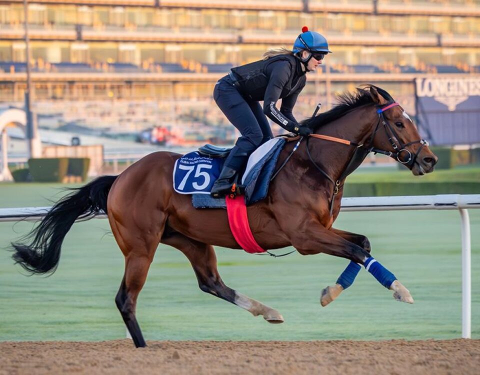 Flight Plan - photo credit: Dubai Racing Club / Meydan