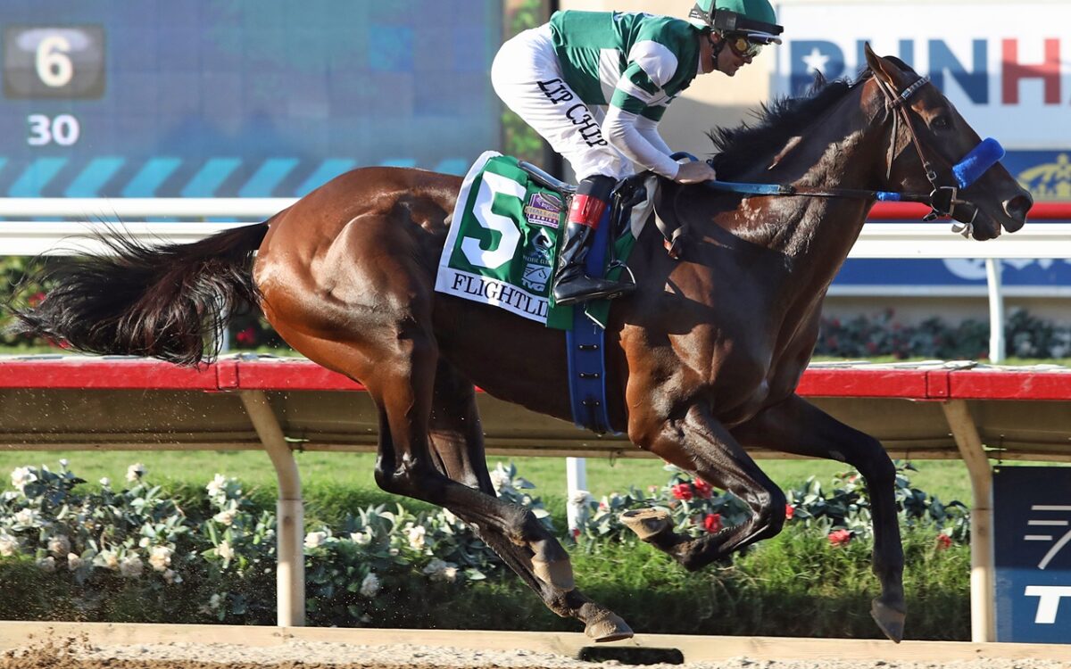 Flightline (Beyer 126) - photo credit Emily Shields
