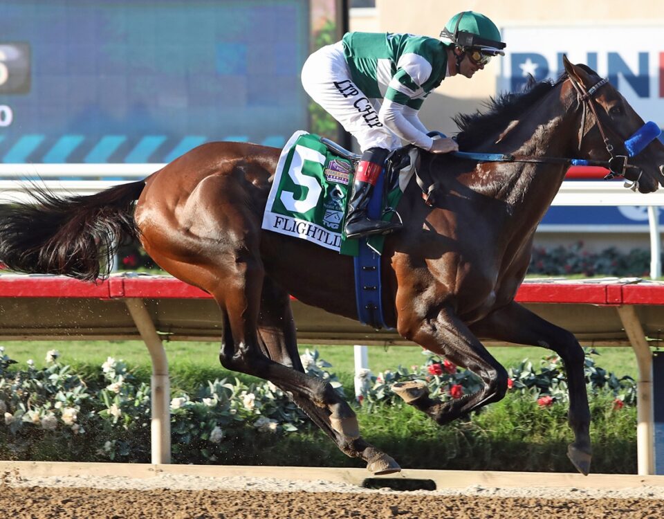 Flightline (Beyer 126) - photo credit Emily Shields