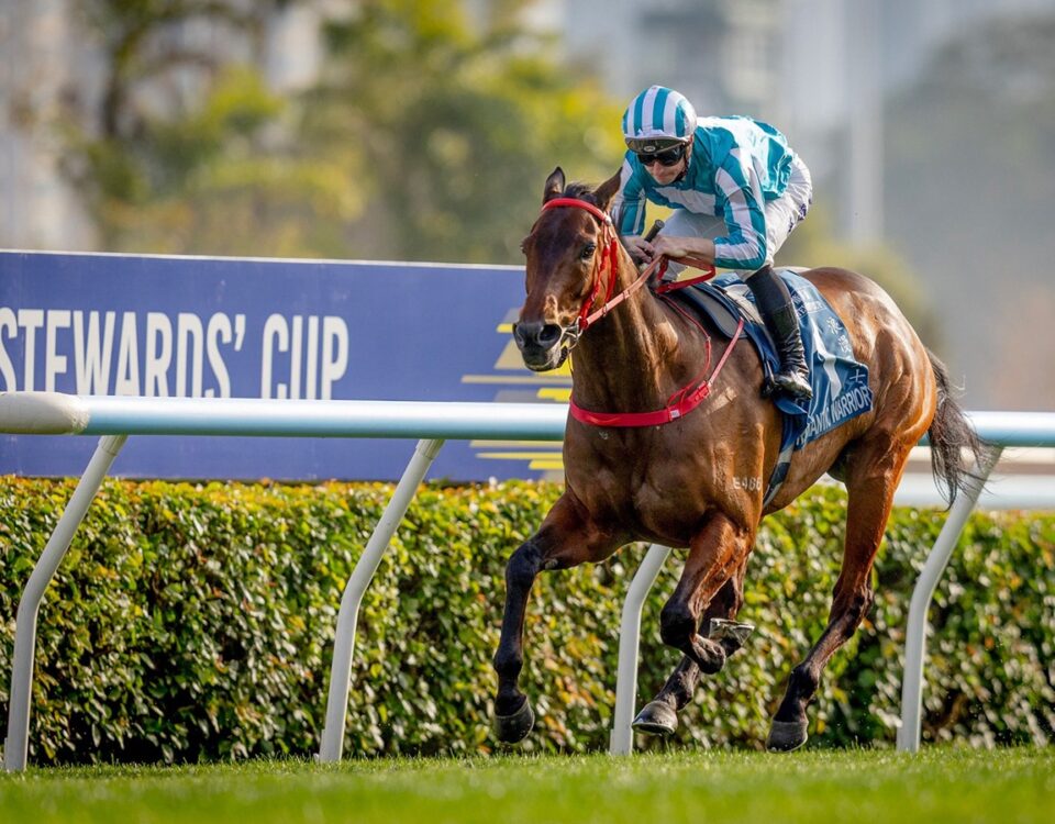 Romantic Warrior - Stewards’ Cup - photo credit Hong Kong Jockey Club -