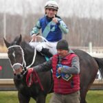 Hollywood Import - Jeffrey Snyder - Maryland Jockey Club