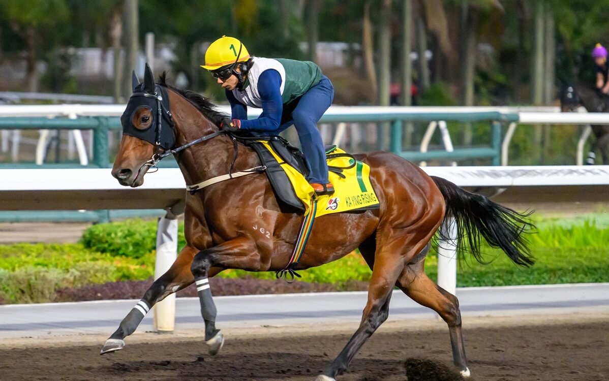 Ka Ying Rising (training) - Hong Kong Jockey Club