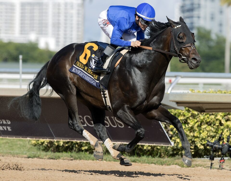 Knightsbridge - Barbara D. Livingston - Daily Racing Form