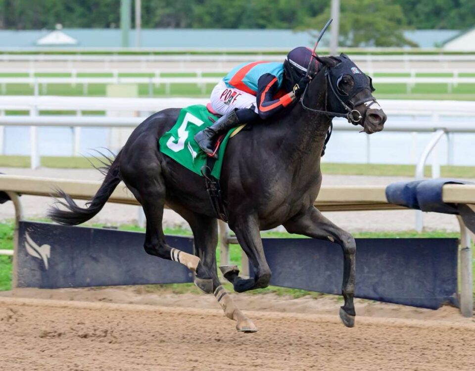 Lightning Tones - Sunshine Classic Stakes - Gulfstream Park - Coglianese Photo