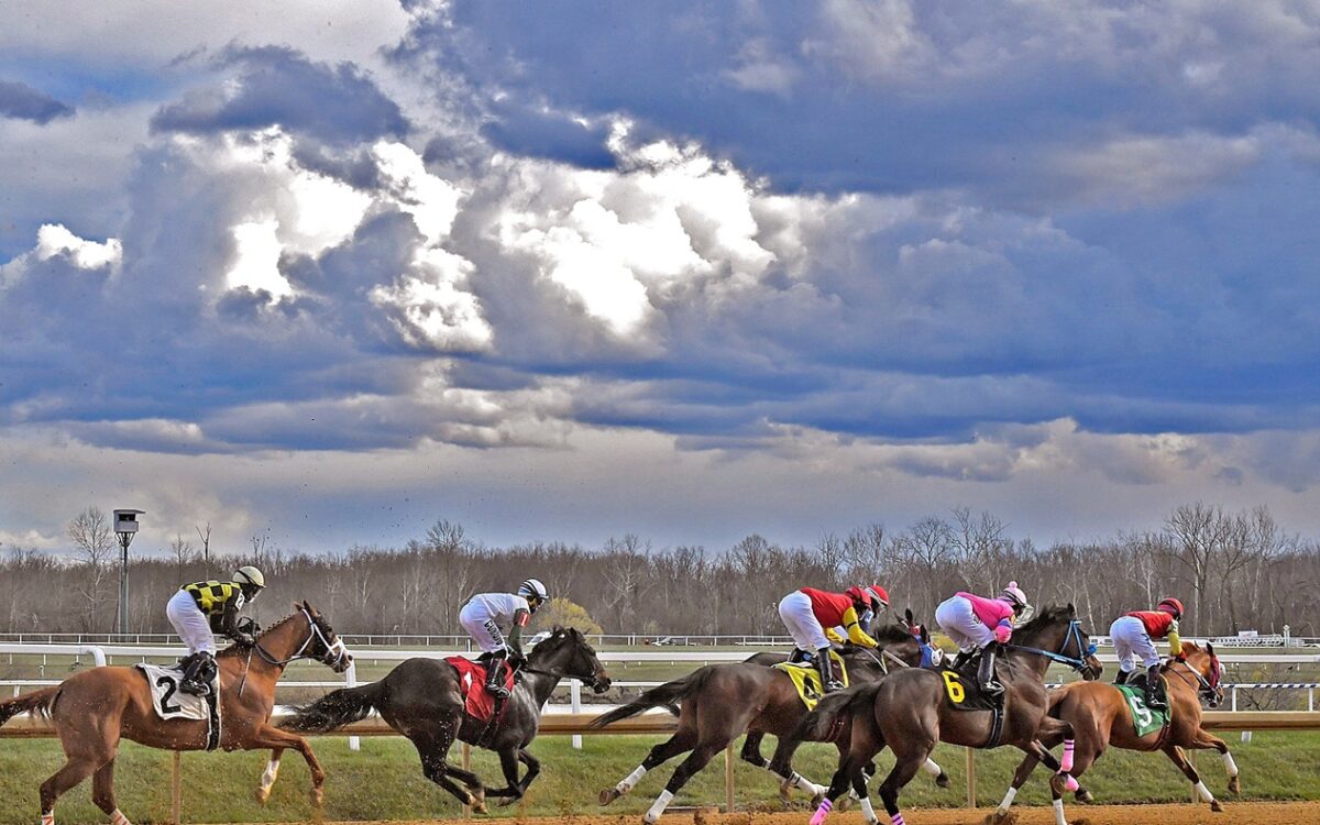Laurel Park - Jim McCue/Maryland Jockey Club