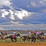 Laurel Park - Jim McCue/Maryland Jockey Club