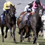 Litigation (parte externa) Mario Gutierrez y Brian Lynch - Barbara D. Livingston - Daily Racing Form