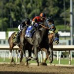 Margarita Girl - Las Flores Stakes G3 - Santa Anita Park - Benoit Photo