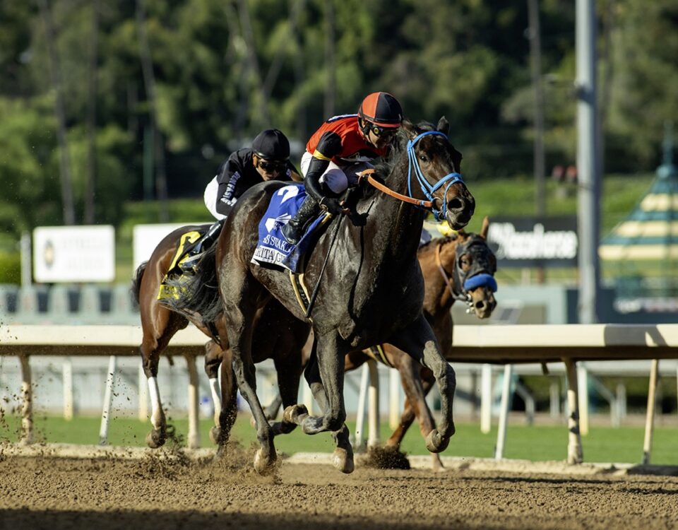 Margarita Girl - Las Flores Stakes G3 - Santa Anita Park - Benoit Photo