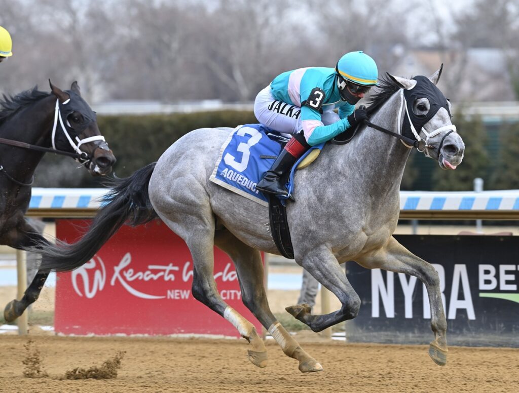 My World - the Jerome - Coglianese Photo - NYRA