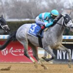 My World - the Jerome - Coglianese Photo - NYRA