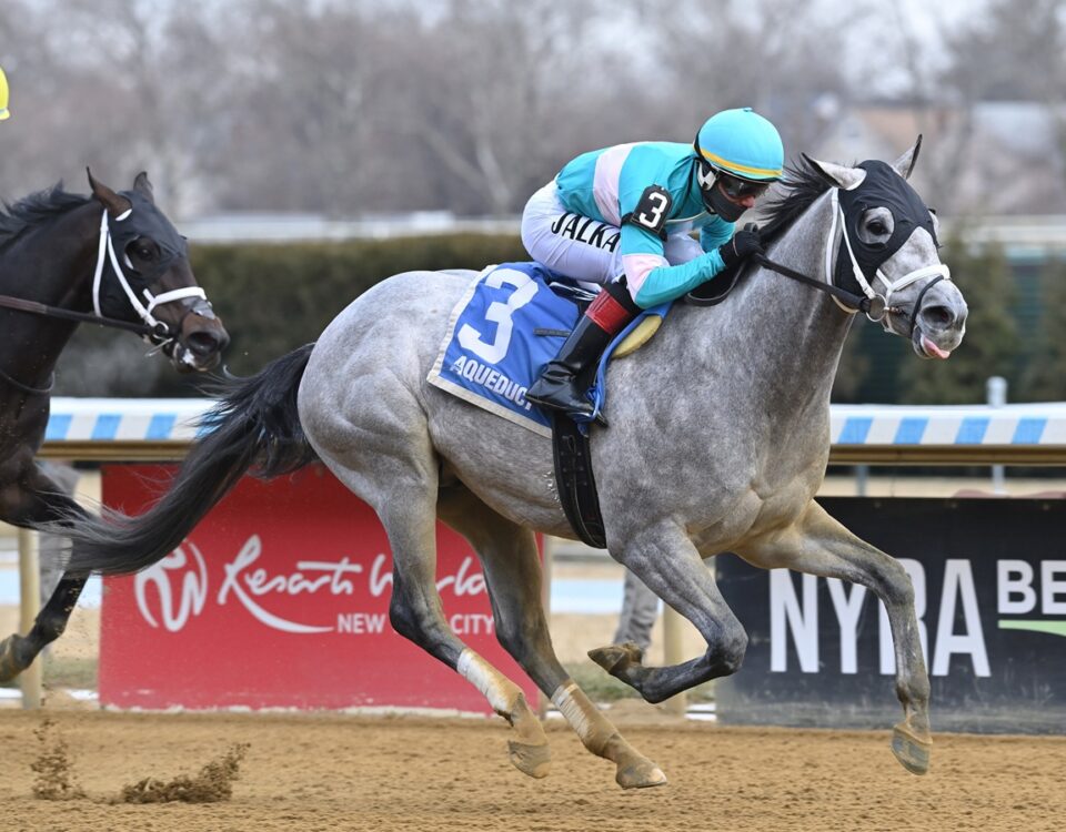 My World - the Jerome - Coglianese Photo - NYRA