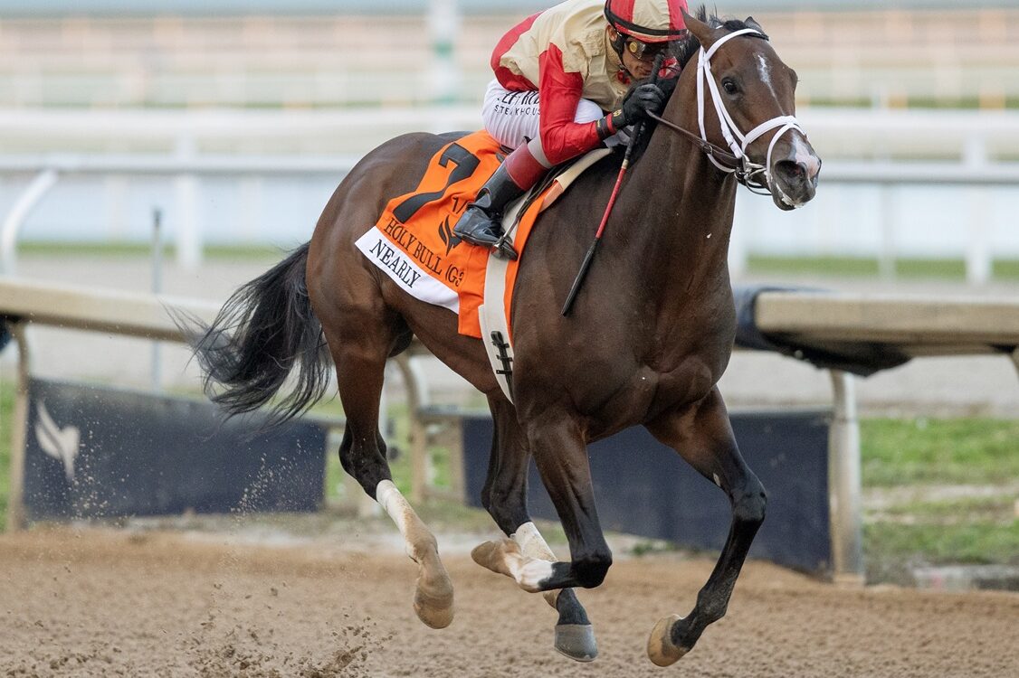 Nearly - Holy Bull G3 - Gulfstream Park - Barbara D. Livingston / Daily Racing Form