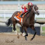 Nearly - Holy Bull G3 - Gulfstream Park - Barbara D. Livingston / Daily Racing Form