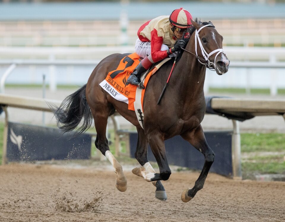 Nearly - Holy Bull G3 - Gulfstream Park - Barbara D. Livingston / Daily Racing Form