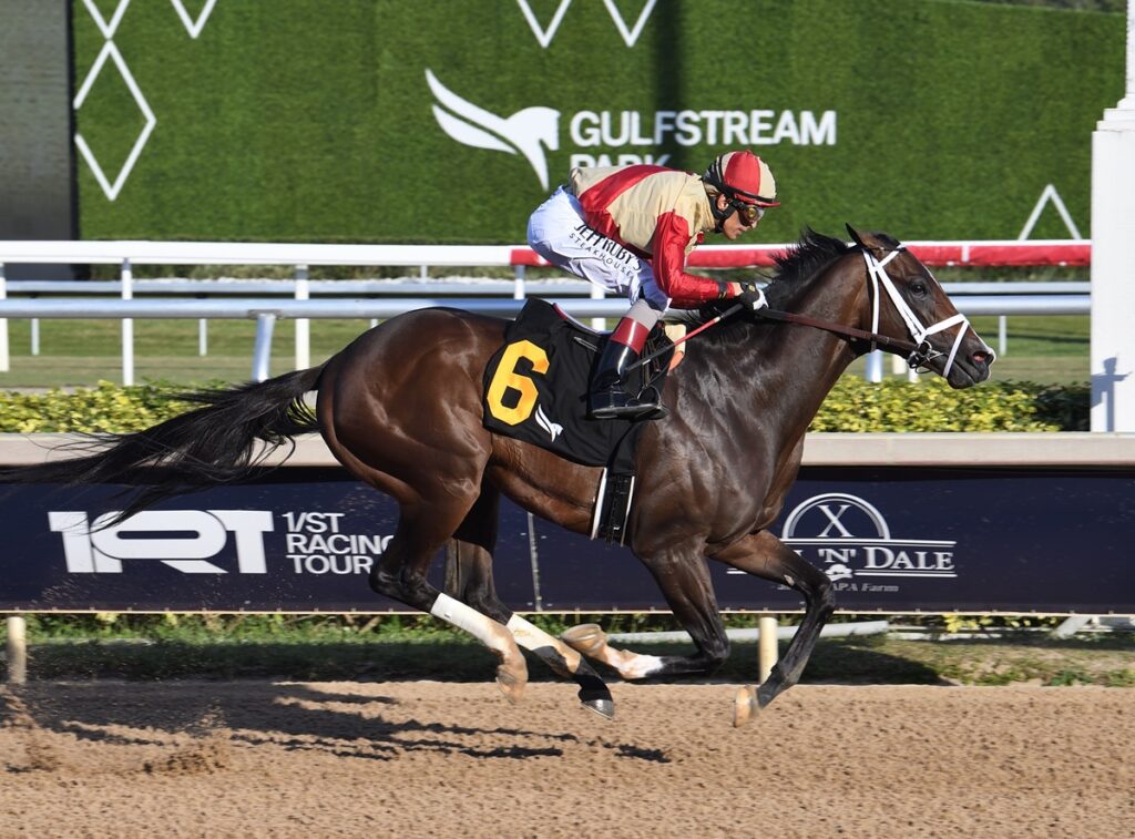 Nearly - Lauren King - Coglianese Photo