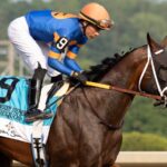 Neoequos - Foto Barbara D. Livingston - Daily Racing Form