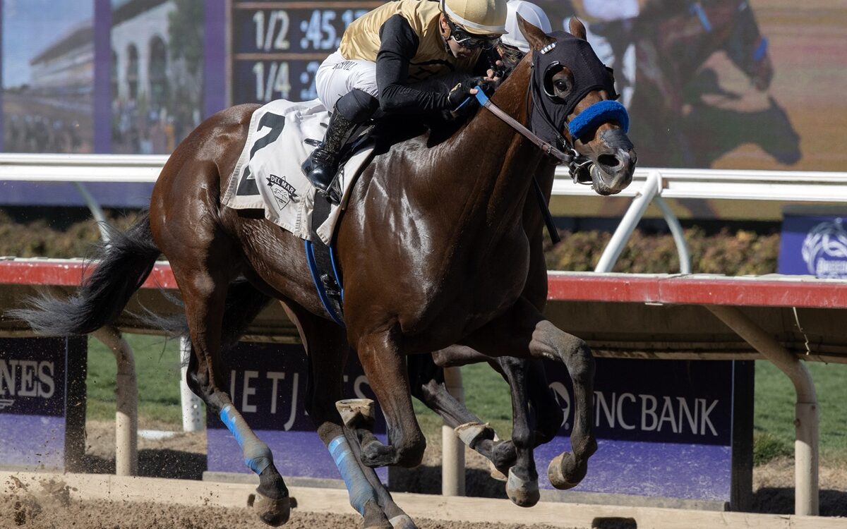 Ocean Bear - Barbara D. Livingston - Del Mar