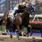 Ocean Bear - Barbara D. Livingston - Del Mar