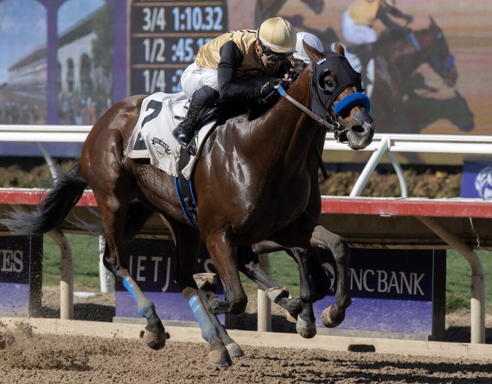 Ocean Bear - Barbara D. Livingston - Del Mar
