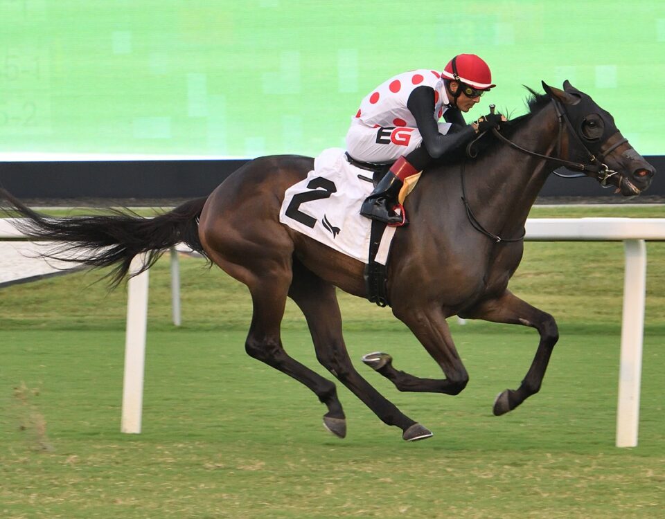 Our Souper Hero - credit Ryan Thompson - Coglianese Photo