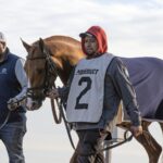 Paladin - Barbara D. Livingston - Daily Racing Form