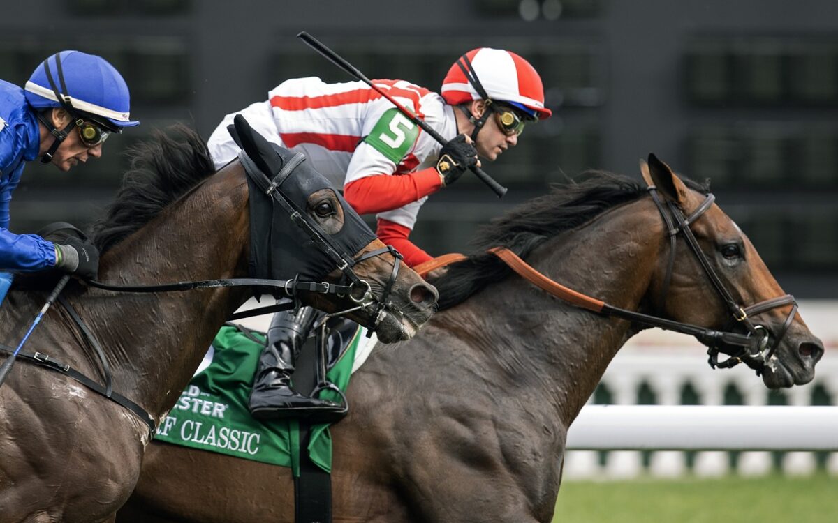 Program Trading (GB) - Barbara Livingston - Daily Racing Form