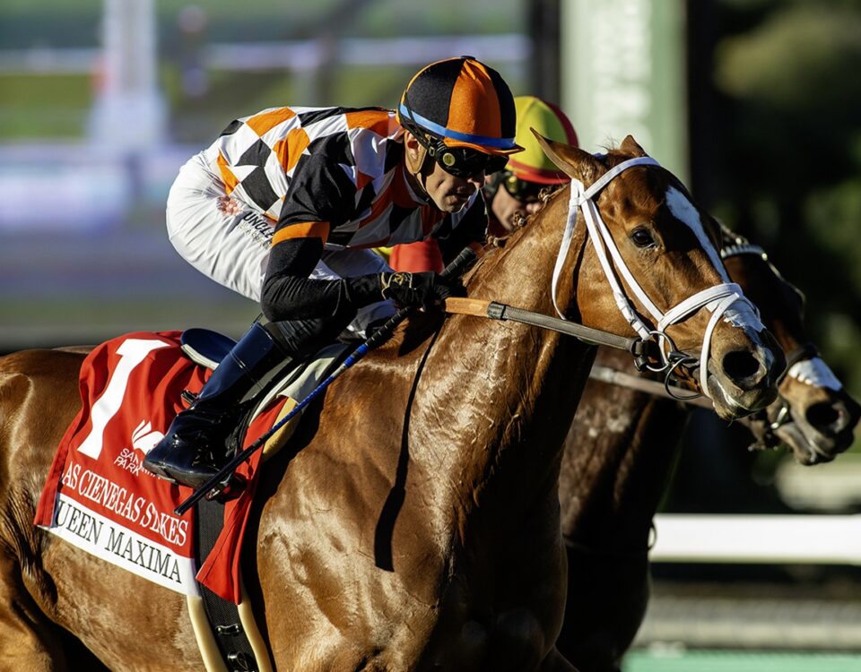 Queen Maxima - Las Cienegas Stakes G3 - Santa Anita Park - Benoit Photo