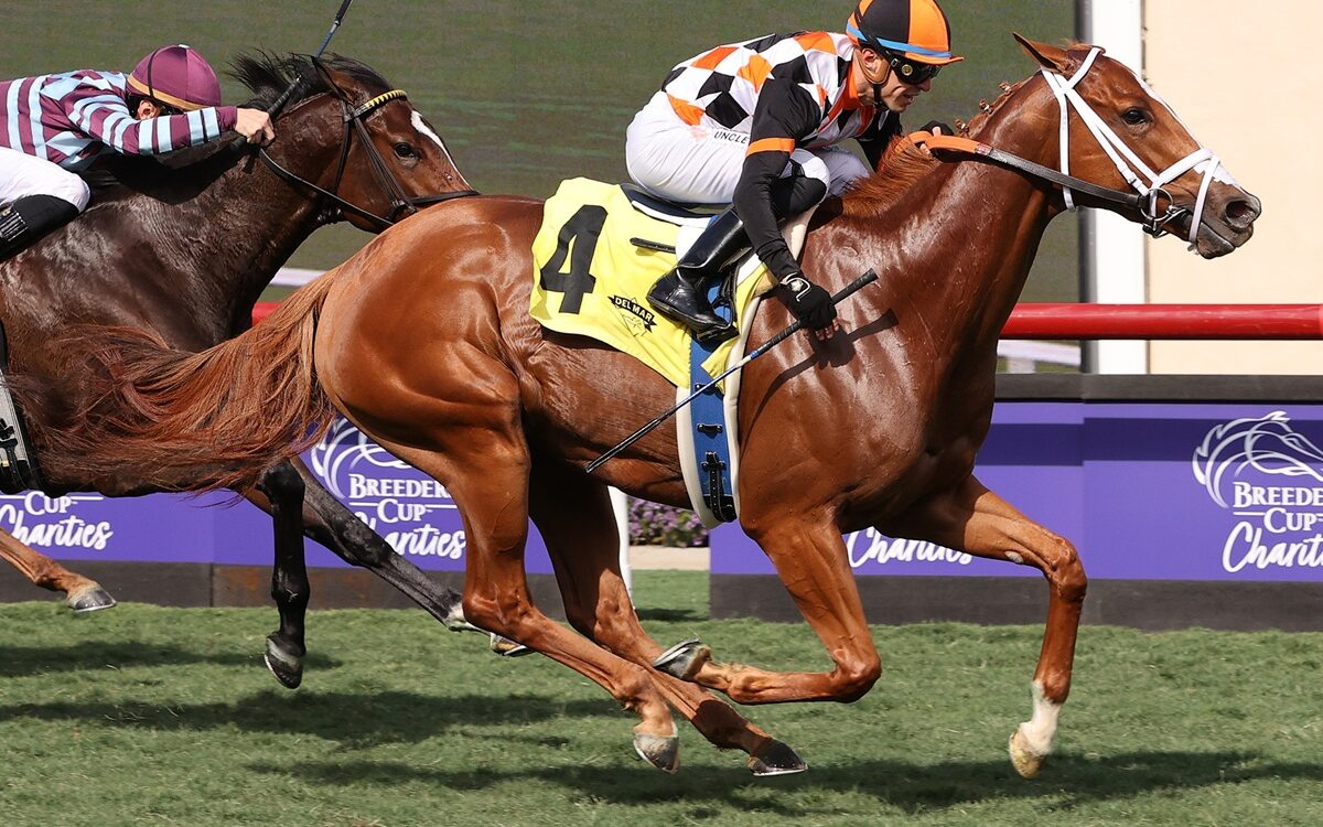 Queen Maxima - Barbara D. Livingston - Daily Racing Form