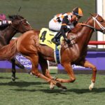 Queen Maxima - Barbara D. Livingston - Daily Racing Form